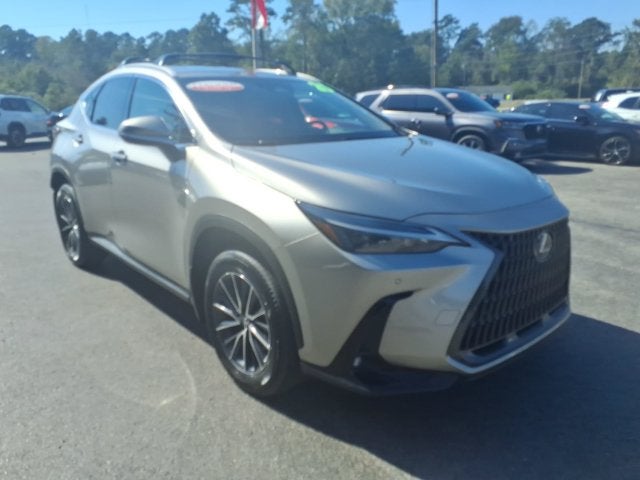2025 Lexus NX
