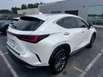 2024 Lexus NX 250 Premium