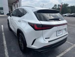 2024 Lexus NX 250 Premium