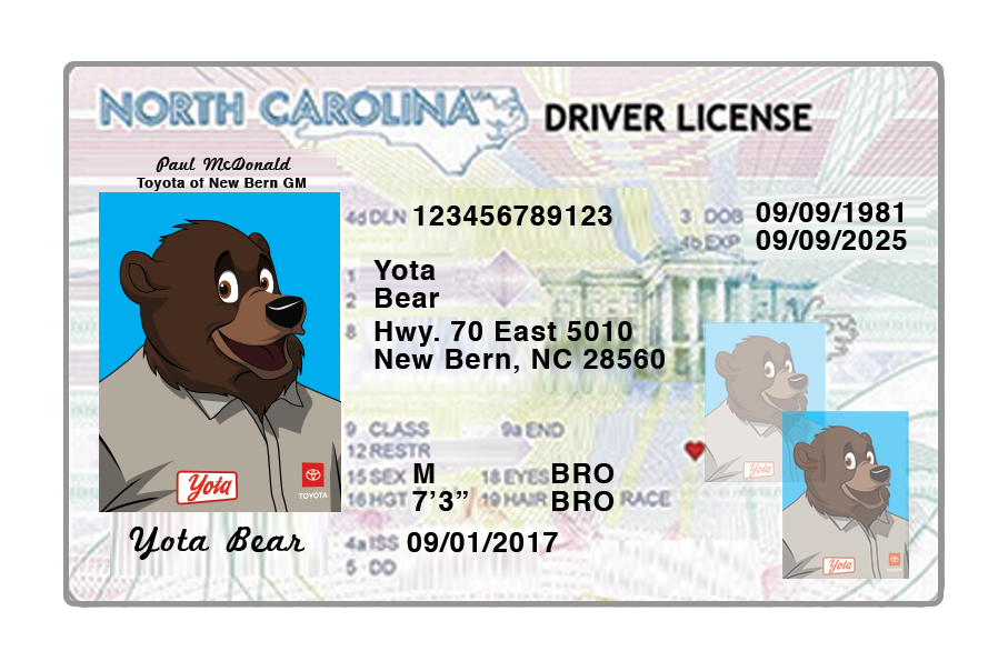 Yota The Bear License