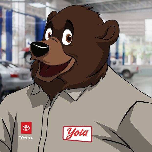 Yota The Bear
